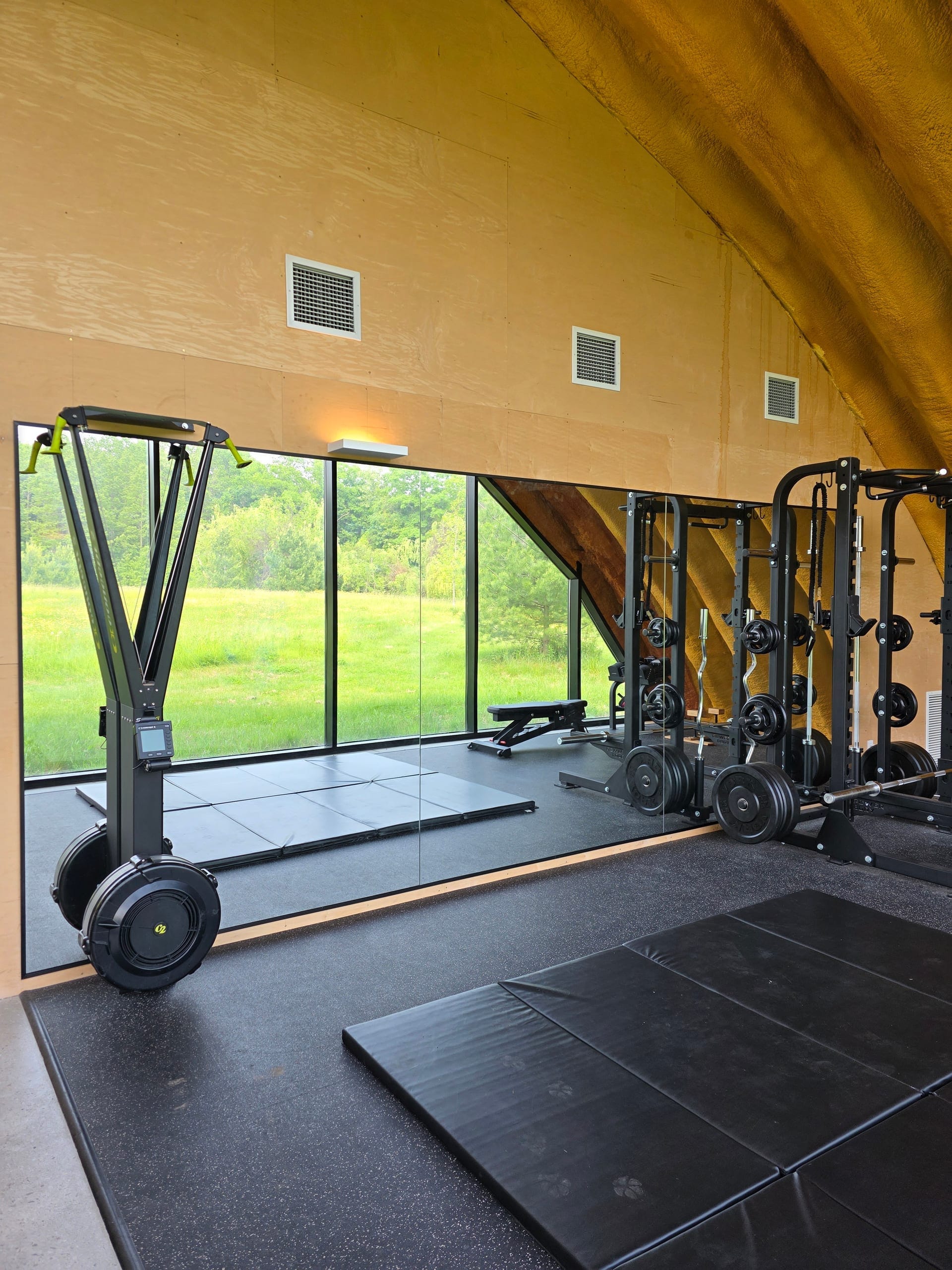 Full-wall home gym mirror reflecting natural light and landscaped backyard through floor-to-ceiling windows — Built By Glass GTA